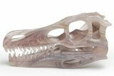 Carved, Banded Fluorite Dinosaur Skull #218476-1
